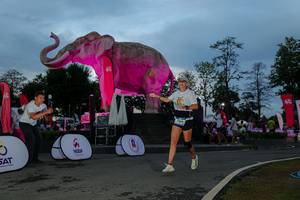 BIB: 
                            <button type="button" onclick="openModal(26529627)" class="btn btn-primary btn-sm float-right btn-popup" data-toggle="modal" data-target=".modal-high-quality">
                        <i class="fas fa-shopping-cart"></i> Add to Cart
                    </button>
                                            <button type="button" onclick="isThisMe(26529627, true)" class="btn btn-success btn-sm float-right btn-popup btn-isme hidden" data-toggle="tooltip" data-placement="bottom" title="นี่คือรูปของคุณใช่ไหม คลิกที่นี่เพื่อเอาเข้าอัลบั้ม">
                        <i class="fas fa-plus"></i> Add to album
                    </button>
                    <button type="button" onclick="isThisMe(26529627, false)" class="btn btn-warning btn-sm float-right btn-popup btn-isnotme hidden">
                        <i class="fas fa-ban"></i> Remove from album
                    </button>